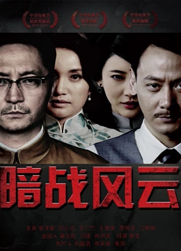 暗战风云 暗战风云