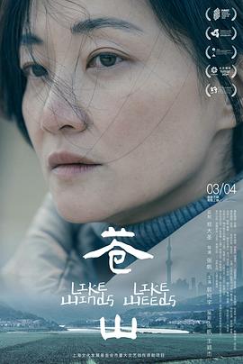 苍山2023 苍山2023